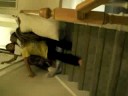 Mattress Sliding