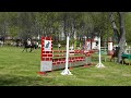 Parkúrové skákanie Michalovce - foto 2