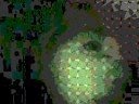Trippy Morphing Cacaphonic Paradise ~