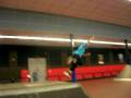 alex en 540°