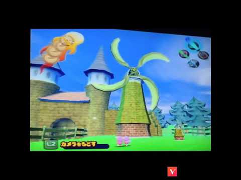 動画