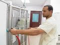 Career Profiles: Small Animal Veterinary Technician