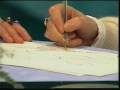 Guarda video