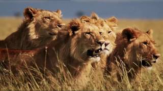 "Last Call-L'Ultima Chiamata"...!!!