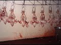 A VIDA DOS ANIMAIS-[A REALIDADE NOS MATADOUROS]-2A realidade nos matadouros é o segundo vídeo da saga de vídeosA vida dos animais...O objetivo é mostrar os maltratos, a realidade dos animais...Este vídeo irá focar as A REALIDADE NOS MATADOUROS!VOCÊ É O CULPADO DISSO!VAMOS SALVAR OS ANIMAIS!ELES JÁ NASCEM CONFINADOS A MORREREM..SÃO PRODUTOS INDUSTRIALIZADOS, COMO SE NÃO TIVESSEM..SENTIMENTO!ELES PRECISAM DE NÓS...!!!!!!!!!!!!!!![ENFIM OBRIGADO POR TEREM ASSISTIDO AO VÍDEO]contato:hate_clown@hotmail.com        simonealauk@yahoo.com.brcriadores: Simone Alauk e Fabricio Romero Ribeiro
