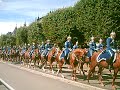 Les chevaux royaux