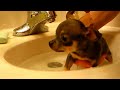 Bath time for Mimi Bath time for Mimi