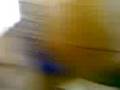 videos de EL TONO y su admiracion x arjona parte 3
