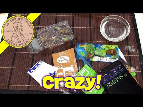 speed - I go Crazy with my Dinosaur Kracie Kit! I decided to set a Kracie Speed Record! See what happens. Buy Here ▷ http://luckypennyshop.com/kracie-dinosaur-candy-kit/ Lucky Penny Thoughts:...