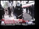 American Brownshirts American Brownshirts