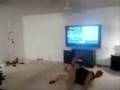 8 Year Old Kickboxer