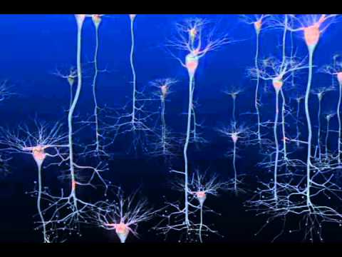 Firing Neurons | Cell Dance 2010, Public Outreach Video Winner