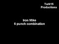 Tyson 6 Punch Combination