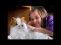 furreal friends cat lulu.mp4