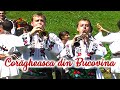 videos de FRATII REUT - Coragheasca