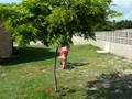videos de Clarissa andando de Bike