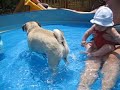 Paco and Carley vs. the Pool