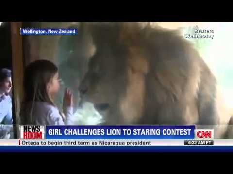Una bambina indefferente ad un leone che cerca di attaccarla Una bambina indefferente ad un leone che cerca di attaccarla
