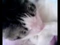 ユウスケくんと同じクセ。
