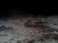 videos de lake adam gt jump 3