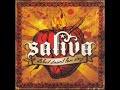 King of The Stereo - Saliva