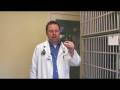 Cat & Kitten Care : How to Tell Male Kittens From Female Kittens