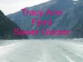 Traci Arms Fjord - Sawer Glacier