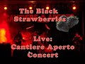 The Black Strawberries - Irraggiungibile