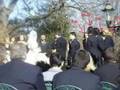 Frank Iero Wedding