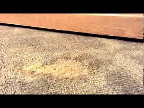 how to patch burn holes in carpet