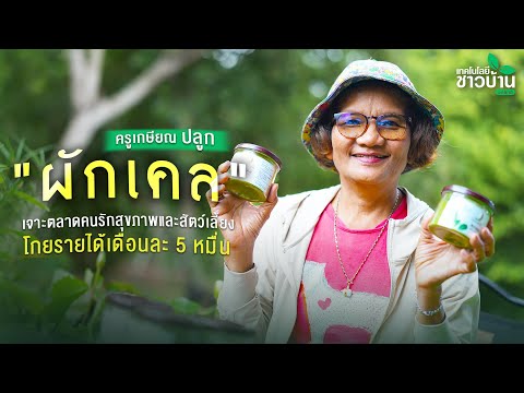 ปลูก “ผักเคล” เจาะตลาดคนรักสุขภาพและสัตว์เลี้ยง โกยรายได้เดือนละ 5 หมื่น | เทคโนโลยีชาวบ้าน