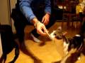 videos de Matisse_matitina.AVI