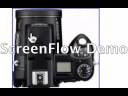 Nikon CoolPix 8800 & How it Relates to My Camera Hunt