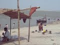 Banks of Ganga- krishna das