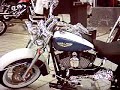 2005 Harley Davidson Softail Deluxe