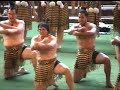 Haka - Te Hokioi