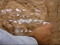 Model Railroad Scenery using Extruded Foam: Part  7