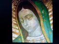 Ma�anitas a La Virgen de Guadalupe (Mi Virgen Ranchera) - LZR/ED