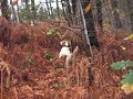BECADAS EN BIZKAIA