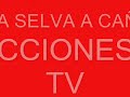 DE LA SELVA SUS CHICAS TVORION