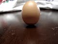 Ovo em pé! Sem truques. Ovo em pé! Sem truques.