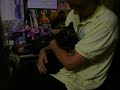 Dixie ADOPTED at the best house ever possible! Leukemia, Adult Chronic