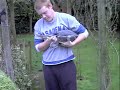 The Heron's Release