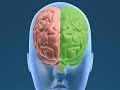Your Epilepsy Pre-Surgical Assessment #2 (Health Guru)