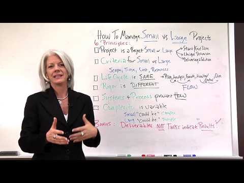 Managing Projects: Small vs Large Video