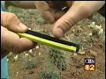 CBS News (Los Angeles) Desert Survival Trip in 2001