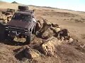 Windy Day 4x4 Bliss Ranch