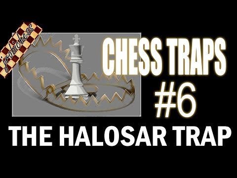 chess chess