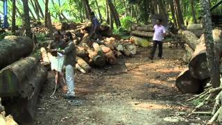 Potta chodyam- AUPS, Eramangalam, Kozhikode