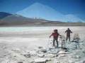 Resumen Perros de los Andes 2007